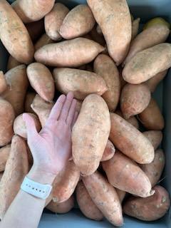 Sweet Potato Display